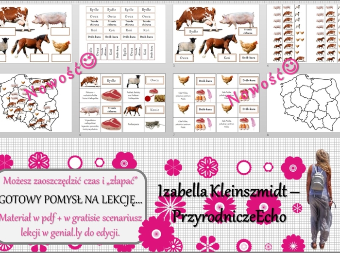 Pomysł na lekcję/karta pracy/stacje zadaniowe/notatki/ materiał do lekcji do tematu „Produkcja zwierzęca” w pdf. W gratisie niekomercyjny scenariusz lekcji/pomysł na lekcję w programie genial.ly do edycji. Geografia 7. Dział „Rolnictwo i przemysł Polski”