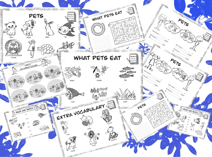 TIGER & FRIENDS 2 Unit 2 Pets, What pets eat