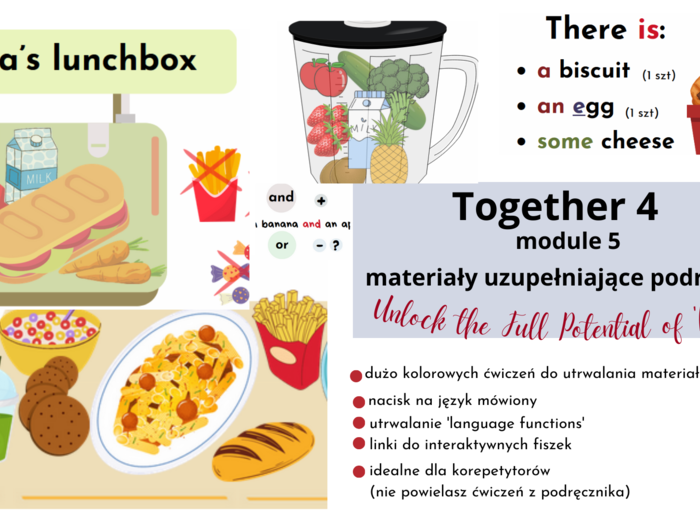 Together 4, unit 5, dodatkowe materiały rozszerzające podręcznik, rzeczowniki policzalne i niepoliczalne, some/any