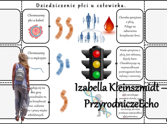 Notatka okienkowa/stacja zadaniowe/notatka/notatka graficzna/karta pracy/sketchnotka „Dziedziczenie płci u człowieka”, „Daltonizm - krzyżówki genetyczne”, „Hemofilia - krzyżówki genetyczne” , „Jak zapisać krzyżówkę genetyczną?” w pdf. Biologia 8 dział „G