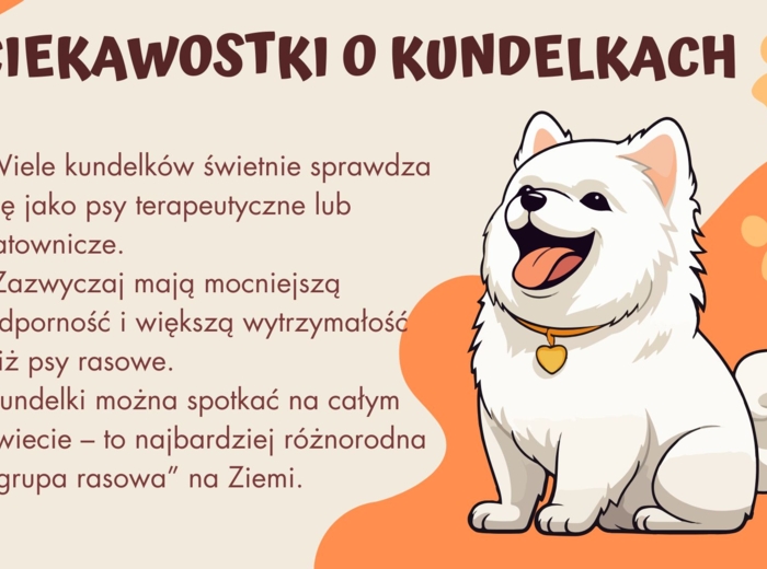 Dzień Kundelka - prezentacja pdf