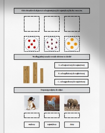 Porządkowanie według określonej zasady. Karta pracy. Sprawdzian.