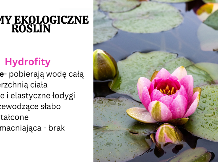 Rośliny pierwotnie wodne + rośliny lądowe i wtórnie wodne KLASA 2 ROZSZERZENIE