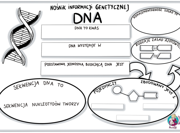 Nośnik informacji genetycznej DNA- karta pracy klasa 8
