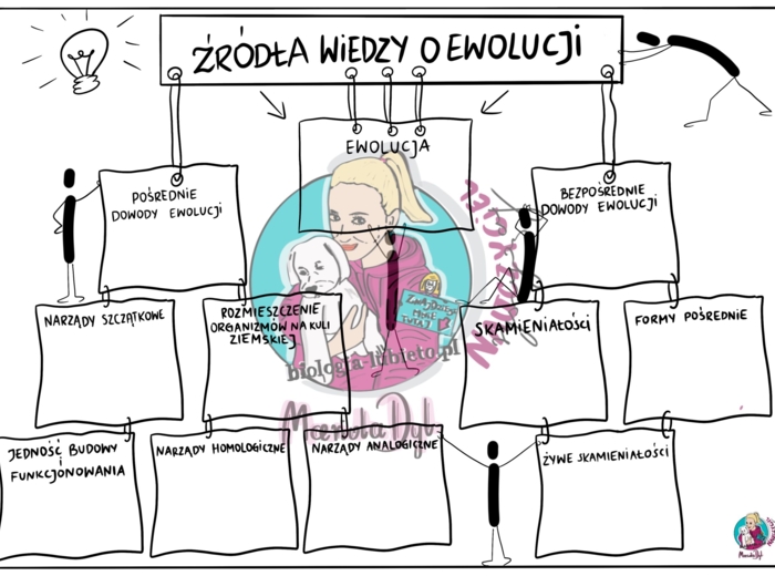 Ewolucja - źródła wiedzy - kl. 8 karta pracy