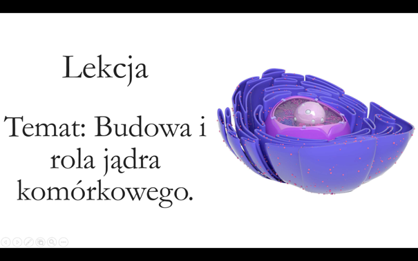 Liceum klasa 1 (podstawa) - Budowa i rola jądra komórkowego - prezentacja
