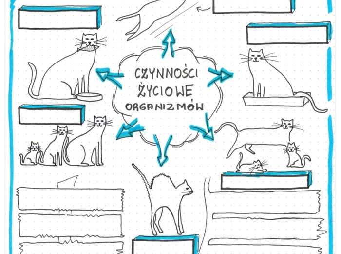 Biologia jako nauka - sketchnotka do uzupełnienia - biologia klasa 5