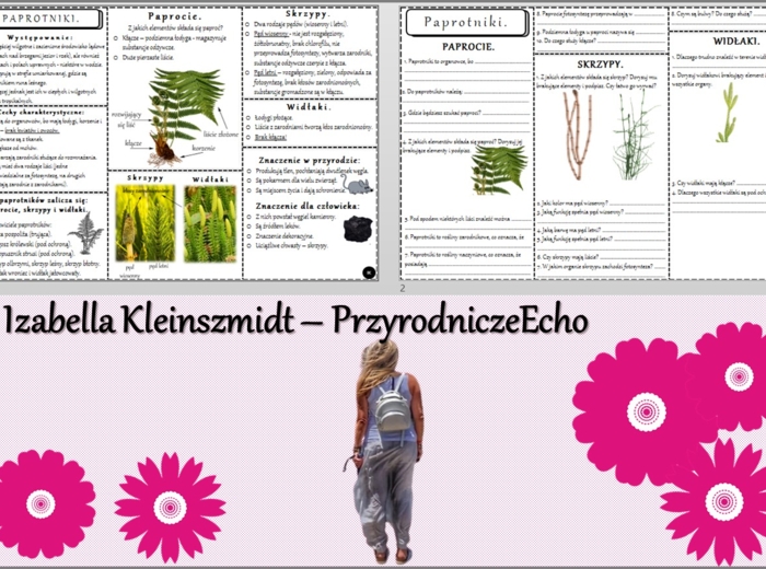 Minizestaw do tematu „Paprotniki” – sketchnotka + karta pracy w pdf + gratisowy link do prezentacji multimedialnej niekomercyjnej wykonanej w genial.ly do indywidualnego pobrania i użycia do celów niekomercyjnych. Biologia 5, Dział „Różnorodność roślin”.