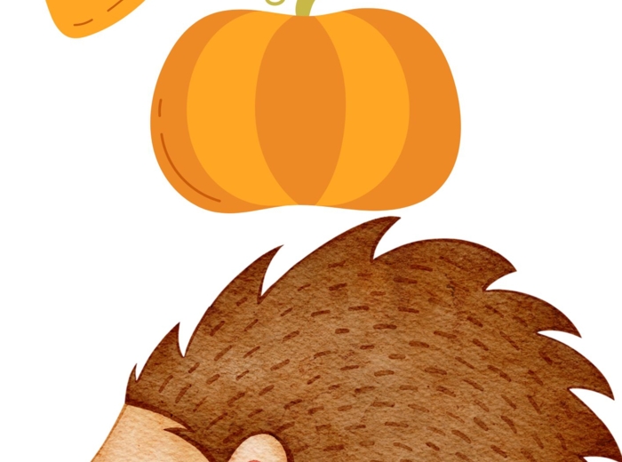 Jesienne okno dekoracja do szatni/ sali