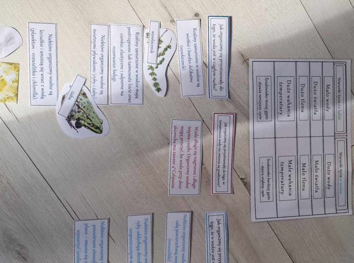 Materiał do zalaminowania/praca w grupach/stacje zadaniowe/układanka/puzzle „Warunki życia w wodzie” w pdf. Przyroda, dział „Odkrywamy tajemnice życia w wodzie i na lądzie”.