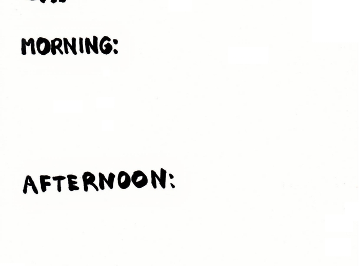 Chronicle of the Polish Kingdom