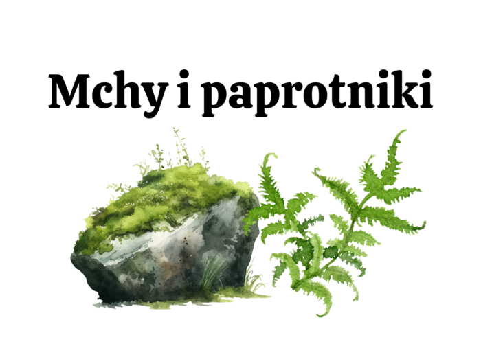 mchy + paprotniki 2 KLASA BIOLOGIA ROZSZERZONA
