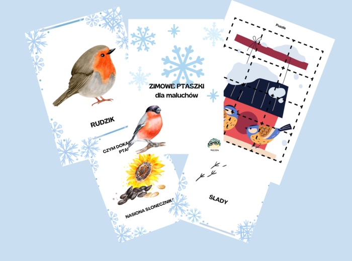 Zimowe ptaki - materiał edukacyjny dla maluchów