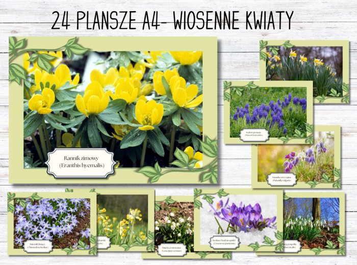 WIOSENNE KWIATY - 24 plansze edukacyjne