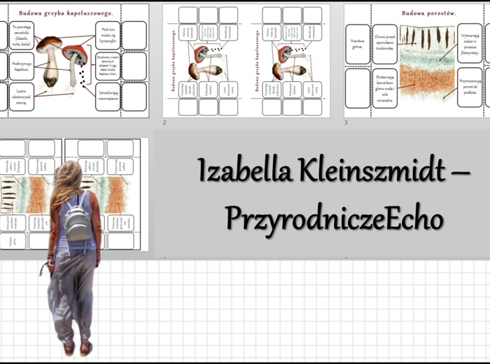 Notatka okienkowa „Budowa i różnorodność grzybów”, „Budowa porostów”, ” Budowa grzyba kapeluszowego” w pdf. Biologia 5 dział „Wirusy, bakterie, protisty i grzyby"”.
