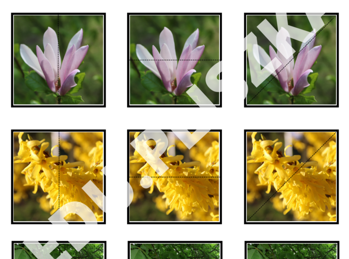 Pionowo, poziomo, na skos: pory roku