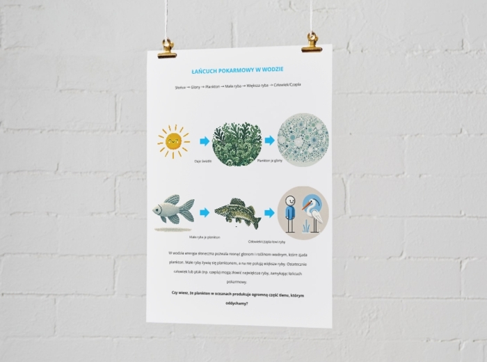 Plakat przedstawiający łańcuchy pokarmowe