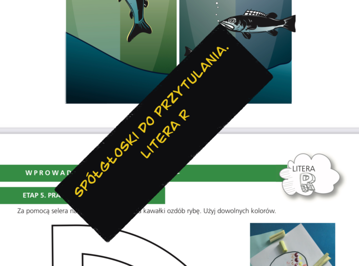 Spółgłoski do przytulania. Monografia litery R