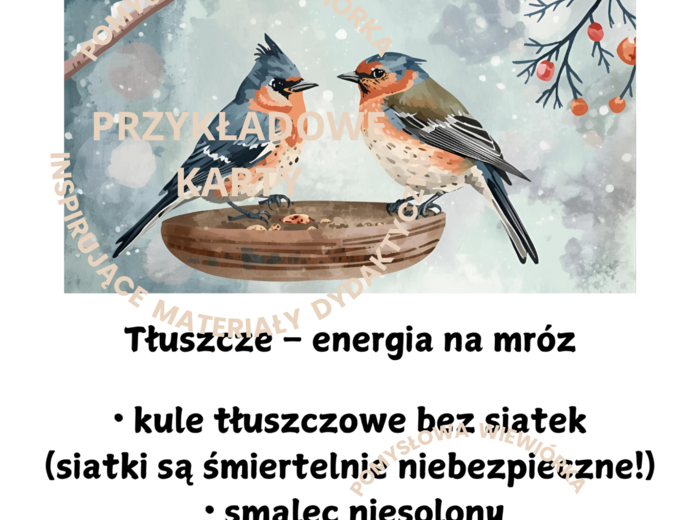 PTAKI ZIMĄ