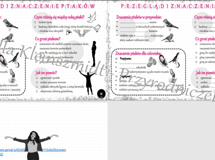 Mini zestaw do tematu „Przegląd i znaczenie ptaków” – Biologia klasa 6 - sketchnotka i karta pracy w pdf + gratisowy link do prezentacji multimedialnej niekomercyjnej wykonanej w genial.ly do indywidualnego pobrania i użycia do celów niekomercyjnych. Bio