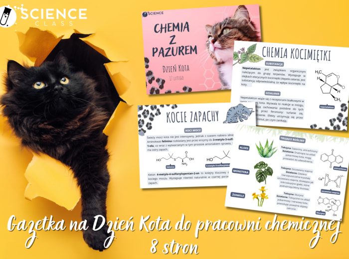 Gazetka na Dzień Kota do pracowni chemicznej