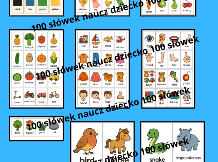 100 podstawowych rzeczowników w języku angielskim 1 słówko na każdy dzień – naucz dziecko języka w formie zabawy!