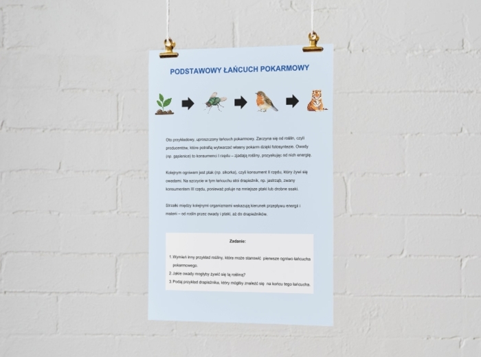 Łańcuchy i sieci pokarmowe. Znaczenie równowagi w ekosystemie. Łańcuch pokarmowy