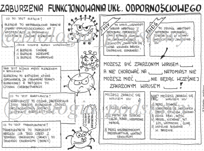 Klasa 7 - Zaburzenie funkcjonowania układu odpornościowego - sketchnotka