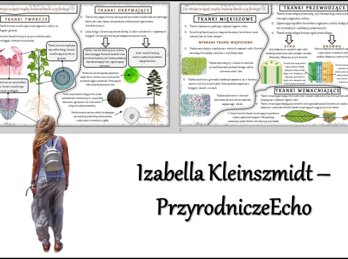 Sketchnotka/notatka/streszczenie/wklejka/ściąga dla ucznia i nauczyciela. Temat „Czy istnieje związek między budową tkanki a jej funkcją?” w pdf. Biologia 5 dział „Tkanki i organy roślinne”. Wykonana na podstawie podręcznika z wydawnictwa WSiP.