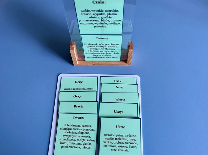 Opis postaci - słownictwo