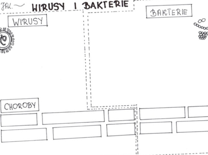 Wirusy i bakterie (karta pracy)