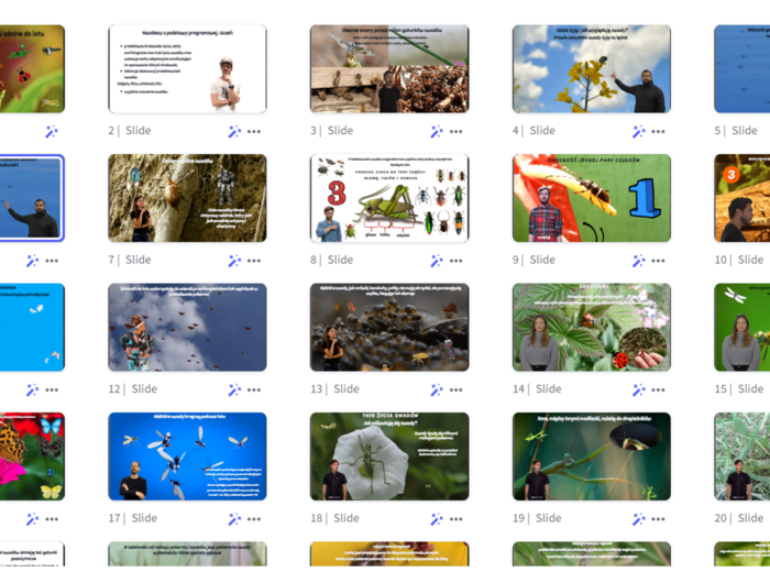 Prezentacja multimedialna w genial.ly „ Owady - stawonogi zdolne do lotu” – do edycji i pobrania – biologia klasa VI, dział III – temat 3