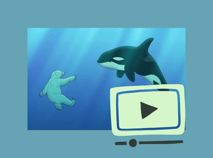 "Snow Bear" - praca z wideo na języku angielskim - klasa VII-VIII | "Snow Bear" Working with Wideo during English Classes (Grades 7-8)