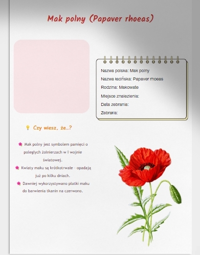 Zielnik / Album. Zasuszone rośliny. Ciekawostki.