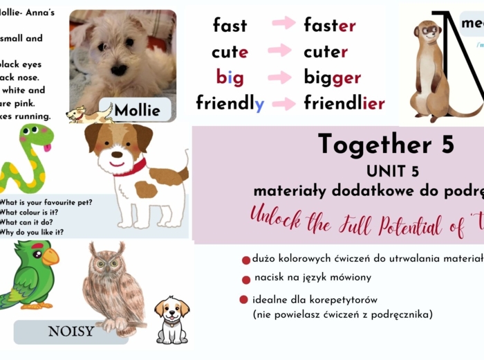 Together 5, unit 5, dodatkowe materiały do podręcznika, NO-PREP, stopniowanie przymiotników