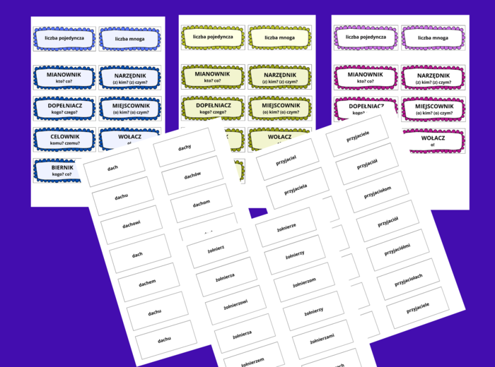 Odmiana rzeczownika przez PRZYPADKI - fiszki - 10 stron - kl. 4- 8