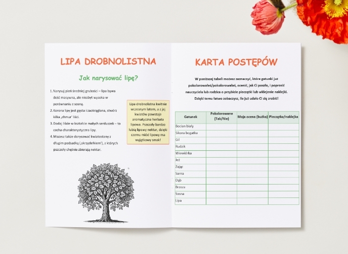 Kolorowanki z roślinami i zwierzętami. Gatunki ptaków, ssaków i drzew