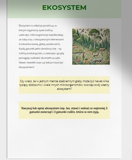 Mini słownik pojęć ekologicznych (ekosystem, bioróżnorodność, recykling i wiele innych)