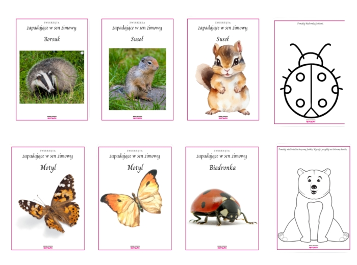 Zwierzęta zapadające w sen zimowy