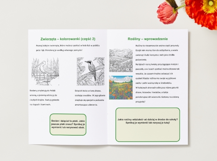 Kolorowanki. Ekolog w terenie. Zwierzęta. Rośliny. Krajobrazy