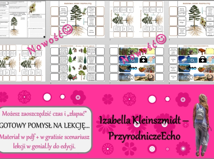 Pomysł na lekcję/karta pracy/stacje zadaniowe/materiał do lekcji do tematu „Nagonasienne” w pdf. W gratisie niekomercyjny scenariusz lekcji/pomysł na lekcję w programie genial.ly do edycji. Biologia 5. Dział „Różnorodność roślin”.