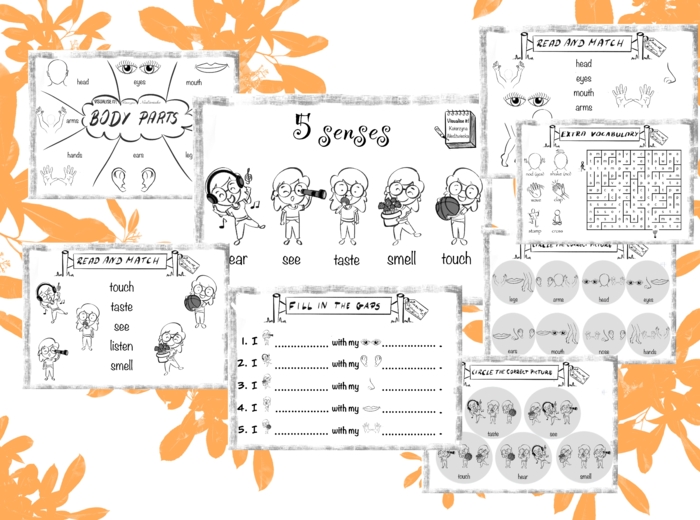 TIGER & FRIENDS 1 Unit 2 Body parts, five senses