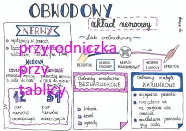 Biologia -duży zestaw sketchnotek i kart pracy dla klas 5 -8