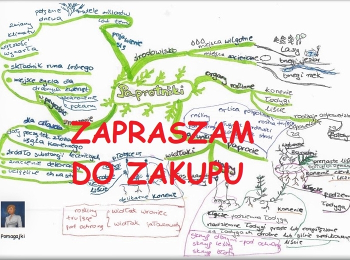 🌿🌿Paprotniki podsumowanie na 1 stronie mapa myśli- biologia klasa 5,8