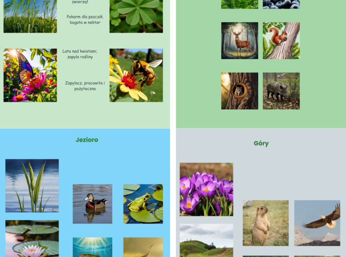 Tablice edukacyjne. Zwierzęta. Ptaki w Polsce. Gatunki grzybów. Zasady segregacji śmieci. Naturalne siedliska.