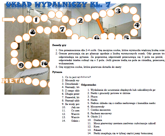 Układ wydalniczy - gra planszowa