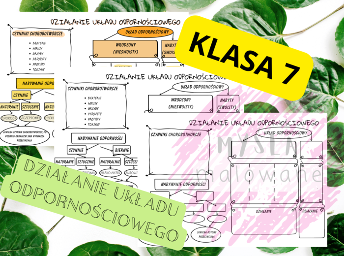 Biologia 7. Działanie układu odpornościowego. Plakat + sketchnotka+ karta pracy
