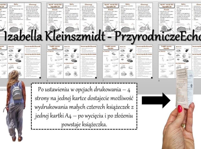 Broszurka/notatka/sketchnotka/wklejka/ściąga dla ucznia/przypomnienie dla nauczyciela w pdf. Biologia 6 „Stawonogi i mięczaki” – „Mięczaki-zwierzęta, które mają muszlę”.