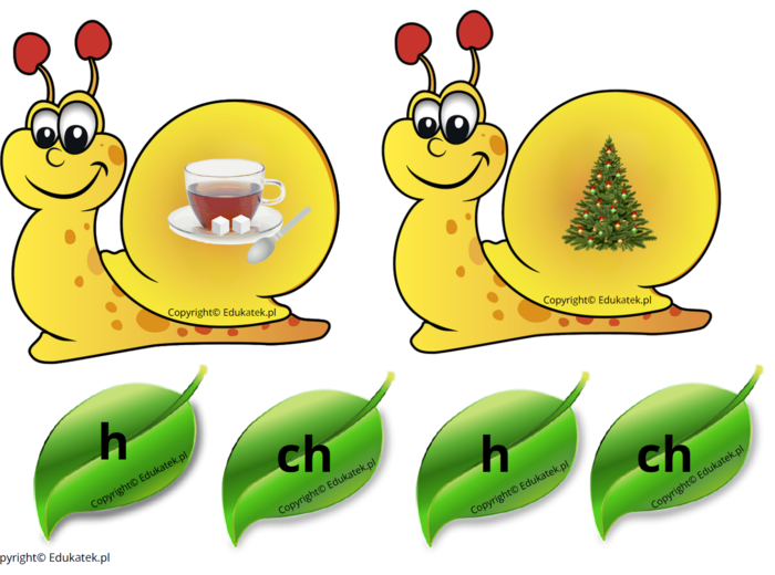 Ortograficzne ślimaki – gra ortograficzna