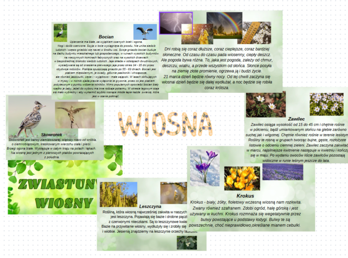 Wiosna, zwiastuny wiosny - gazetka